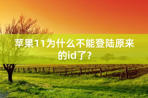 苹果11为什么不能登陆原来的id了？