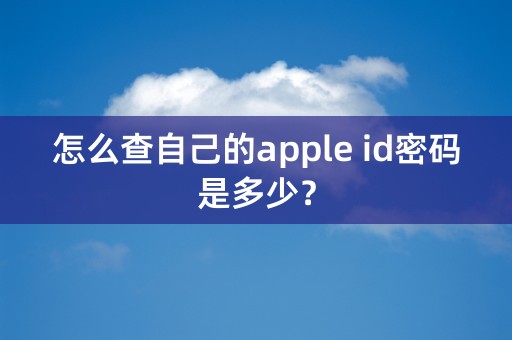 怎么查自己的apple id密码是多少？