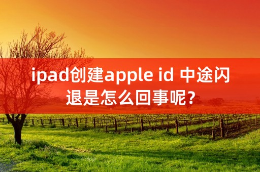 ipad创建apple id 中途闪退是怎么回事呢？