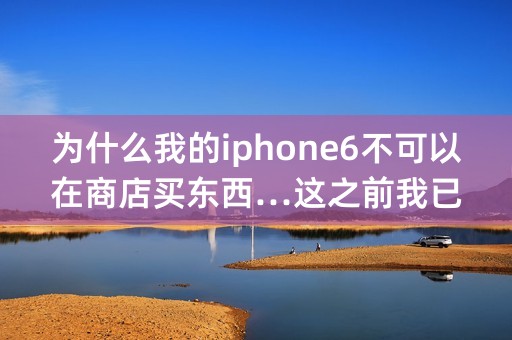 为什么我的iphone6不可以在商店买东西…这之前我已经有了id