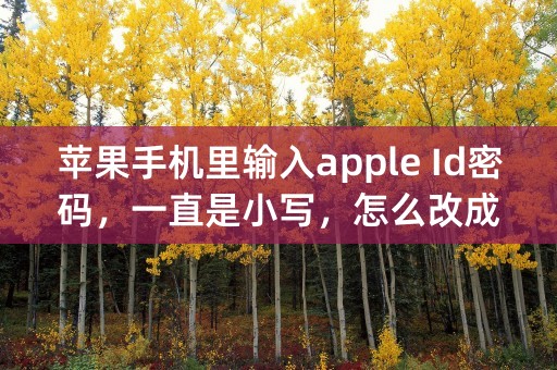 苹果手机里输入apple Id密码，一直是小写，怎么改成大写？