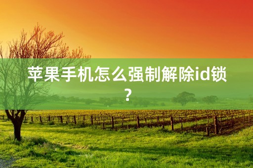 苹果手机怎么强制解除id锁？