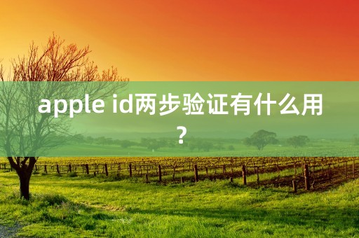 apple id两步验证有什么用？