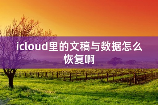 icloud里的文稿与数据怎么恢复啊