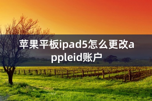 苹果平板ipad5怎么更改appleid账户