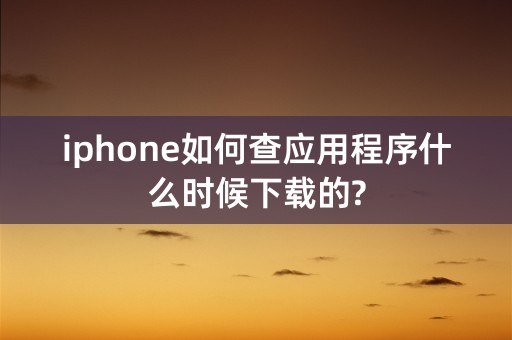 iphone如何查应用程序什么时候下载的?