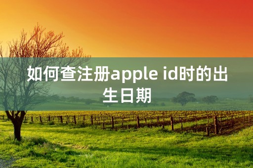 如何查注册apple id时的出生日期