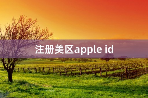 注册美区apple id