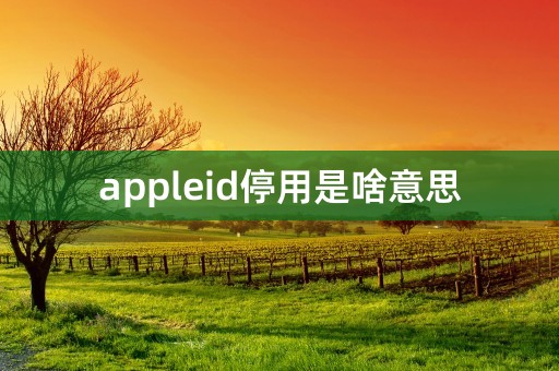 appleid停用是啥意思