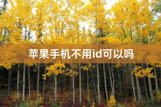 苹果手机不用id可以吗