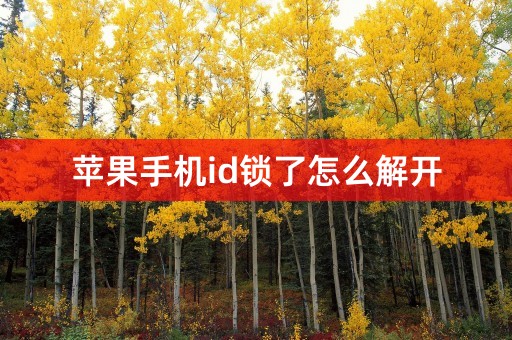 苹果手机id锁了怎么解开