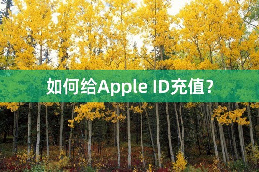 如何给Apple ID充值？