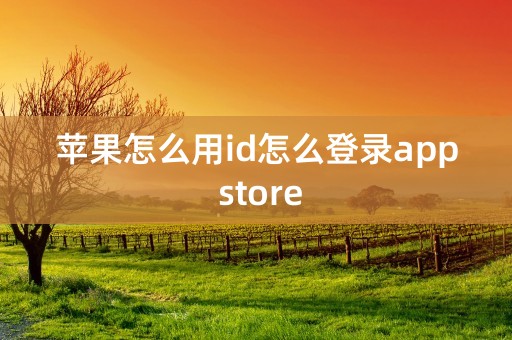 苹果怎么用id怎么登录app store