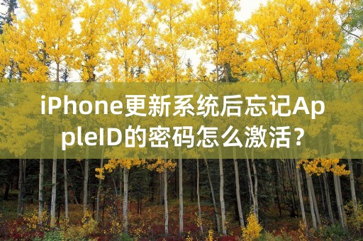 iPhone更新系统后忘记AppleID的密码怎么激活？