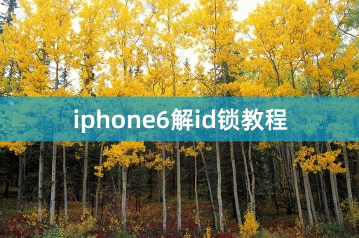 iphone6解id锁教程