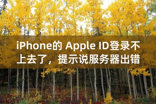 iPhone的 Apple ID登录不上去了，提示说服务器出错，急急急！