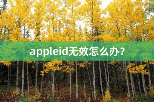 appleid无效怎么办？