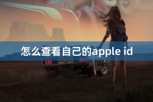 怎么查看自己的apple id