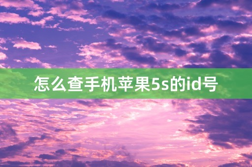 怎么查手机苹果5s的id号