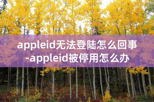 appleid无法登陆怎么回事-appleid被停用怎么办