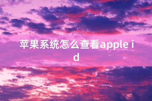 苹果系统怎么查看apple id