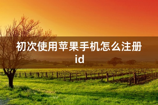 初次使用苹果手机怎么注册id