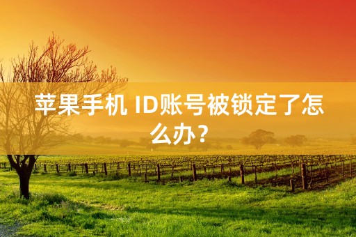 苹果手机 ID账号被锁定了怎么办？