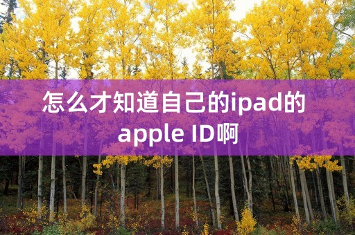 怎么才知道自己的ipad的 apple ID啊