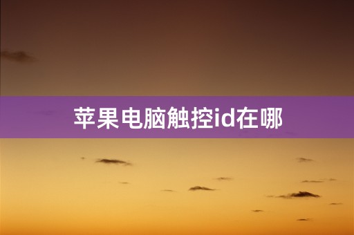 苹果电脑触控id在哪