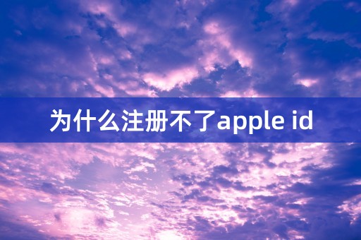 为什么注册不了apple id