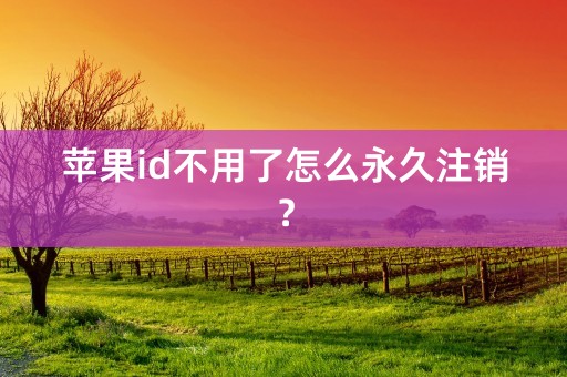 苹果id不用了怎么永久注销？