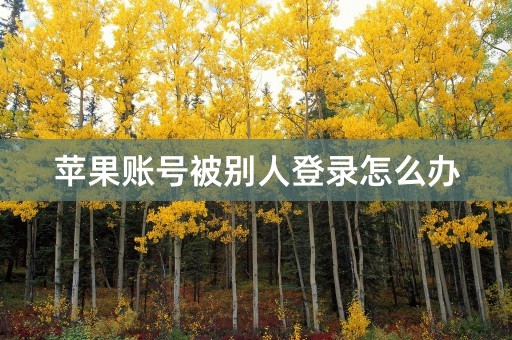 苹果账号被别人登录怎么办