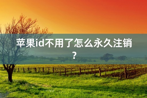 苹果id不用了怎么永久注销？