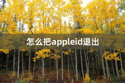 怎么把appleid退出