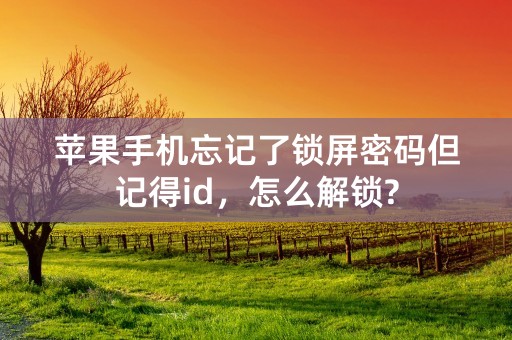 苹果手机忘记了锁屏密码但记得id，怎么解锁?