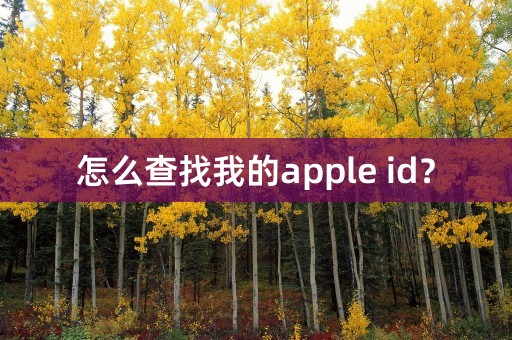 怎么查找我的apple id？