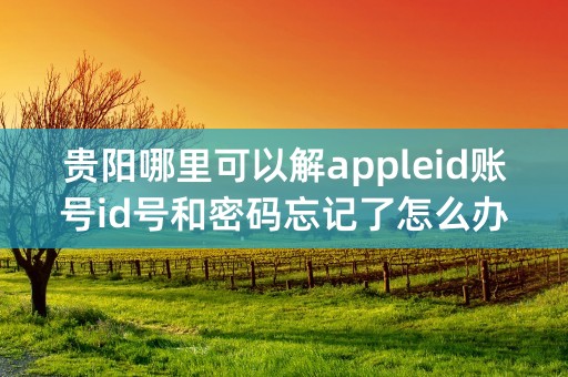 贵阳哪里可以解appleid账号id号和密码忘记了怎么办呢？