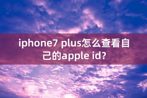 iphone7 plus怎么查看自己的apple id？