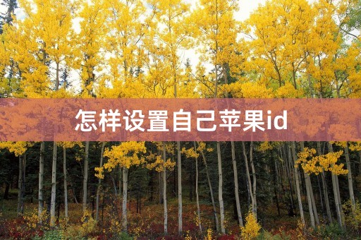 怎样设置自己苹果id