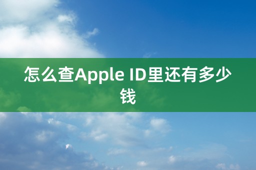 怎么查Apple ID里还有多少钱