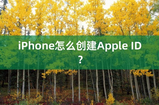 iPhone怎么创建Apple ID？