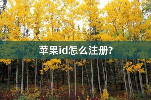 苹果id怎么注册?