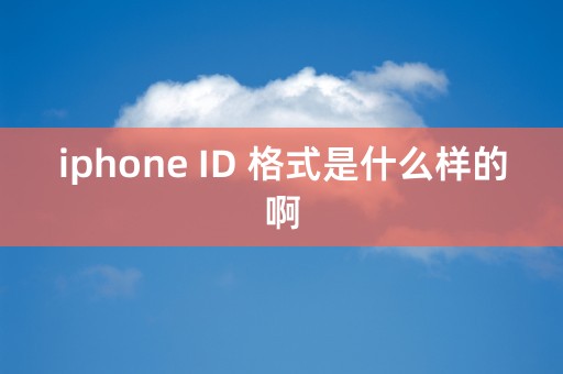 iphone ID 格式是什么样的啊