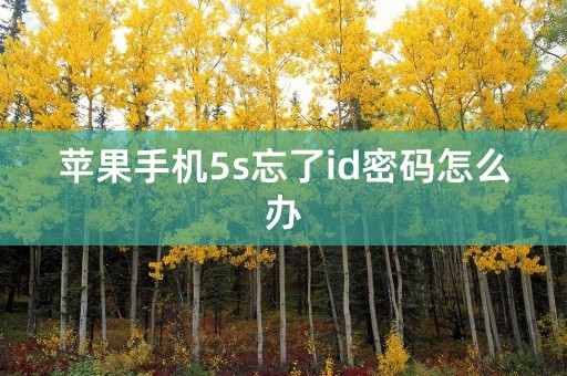 苹果手机5s忘了id密码怎么办