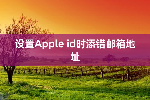 设置Apple id时添错邮箱地址