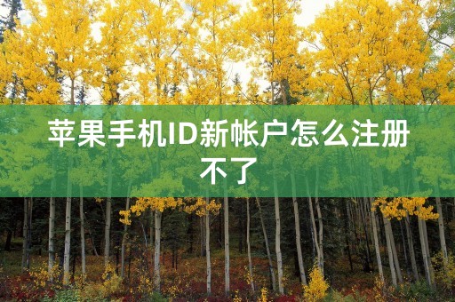 苹果手机ID新帐户怎么注册不了