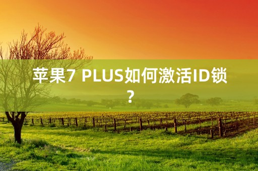 苹果7 PLUS如何激活ID锁？