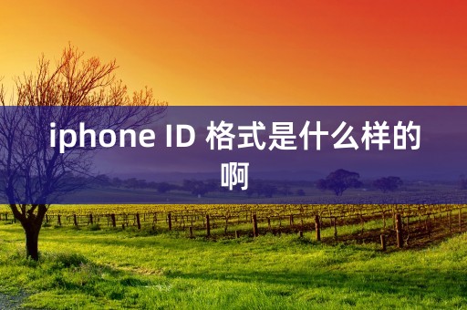 iphone ID 格式是什么样的啊