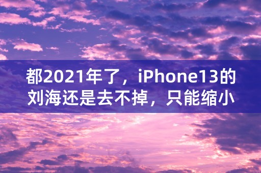 都2021年了，iPhone13的刘海还是去不掉，只能缩小20%？