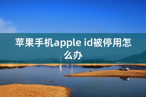 苹果手机apple id被停用怎么办